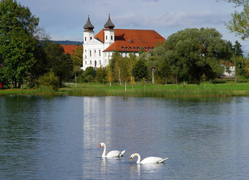 Kloster und Schwäne